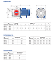 Самовсасывающий насос Pedrollo JCRm 2C, фото 4