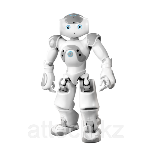 nao robot v6