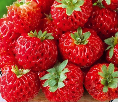 Земляника крупноплодная Фламберри со вкусом малины