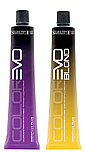 Крем-краска для волос Selective Professional ColorEvo 100 мл., фото 2