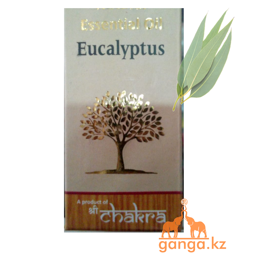 Натуральное эфирное масло  Эвкалипт (Eucalyptus essential oil), 10 мл