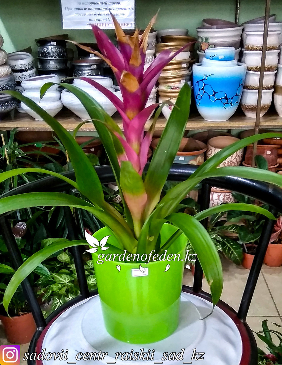 Пластиковый горшок для орхидей "Доляна". Цвет: зеленый, 1.6л. - фото 2 - id-p59962472
