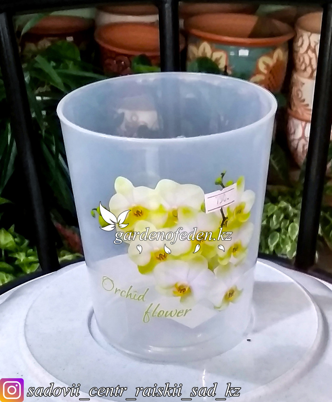 Пластиковый горшок для орхидей "Цветы". Цвет: прозрачный, 1.2л. - фото 1 - id-p59962482