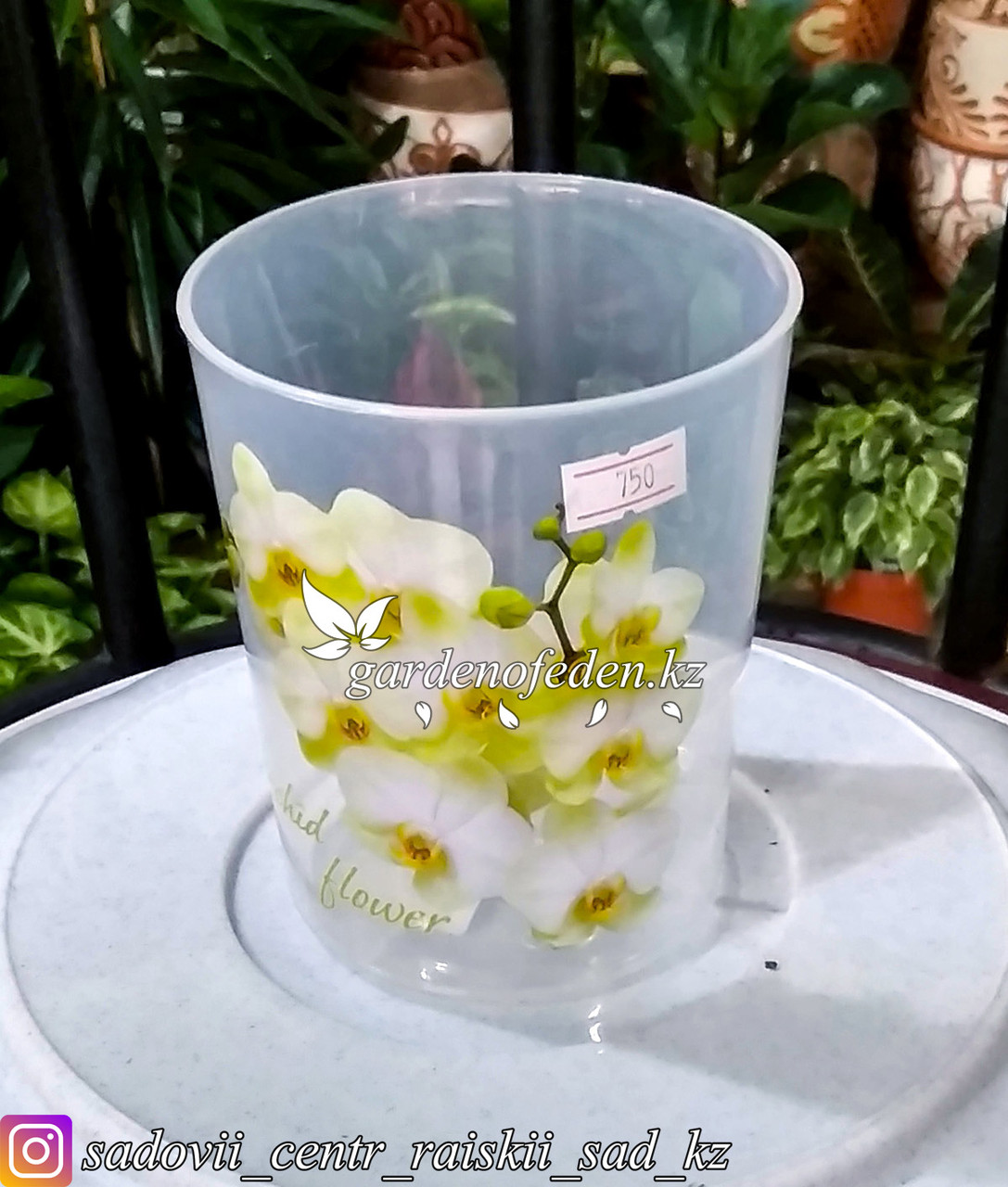 Пластиковый горшок для орхидей "Цветы". Цвет: прозрачный, 0.7л. - фото 1 - id-p59962488