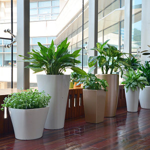 Горшки и кашпо для растений