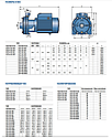 Центробежный многоступенчатый насос Pedrollo 2CPm 25/16B, фото 4