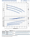 Центробежный многоступенчатый насос Pedrollo 2СР 25/16С, фото 3