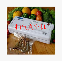 Вакуумный упаковщик DZ-300