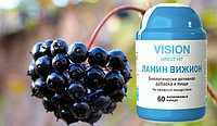 Акции февраля. Изменение условий закупок Vision