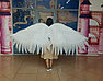 Крылья Лебедя, фото 2
