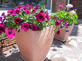 Украсьте вход в дом 7