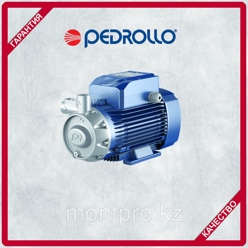 Вихревый насос для промышленного применения Pedrollo PQ 3000 - фото 1 - id-p60114936