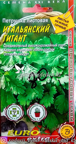 Семена пакетированные Euro Extra. Петрушка листовая "Итальянский гигант", фото 2