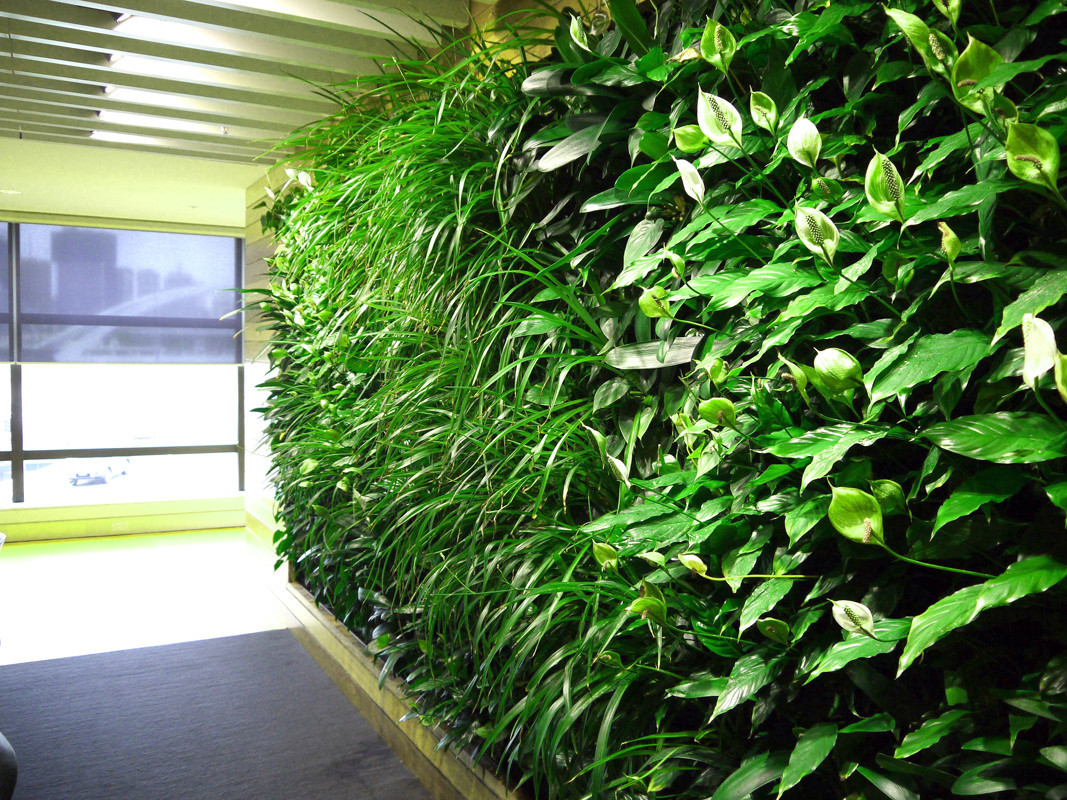 Вертикальная стена из живых растений
