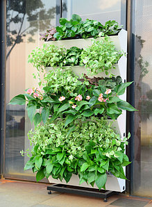 Вертикальное озеленение в Алматы от компании Green Sun Garden