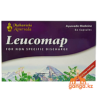 Лейкомап - спецификалық емес қынаптық б ліністер кезінде (Leucomap MAHARISHI AYURVEDA), 60 кап.
