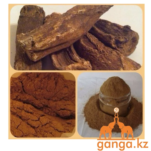 Ол екеуі бірге мастурбация жасайды