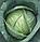 Семена  белокочанной капусты Тобия F1 2500шт. "Seminis", фото 2