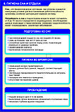 Плакаты Гигиена, фото 3