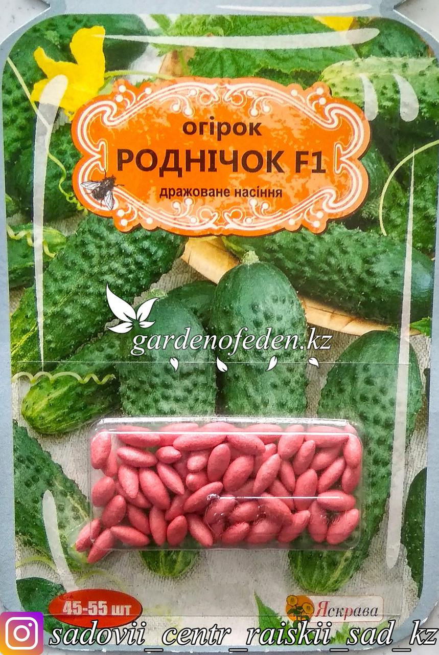 Семена пакетированные Яскрава (дражированные). Огурец "Родничок F1".