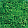 Семена салат Фрилис F1 1000 шт. "Seminis", фото 4