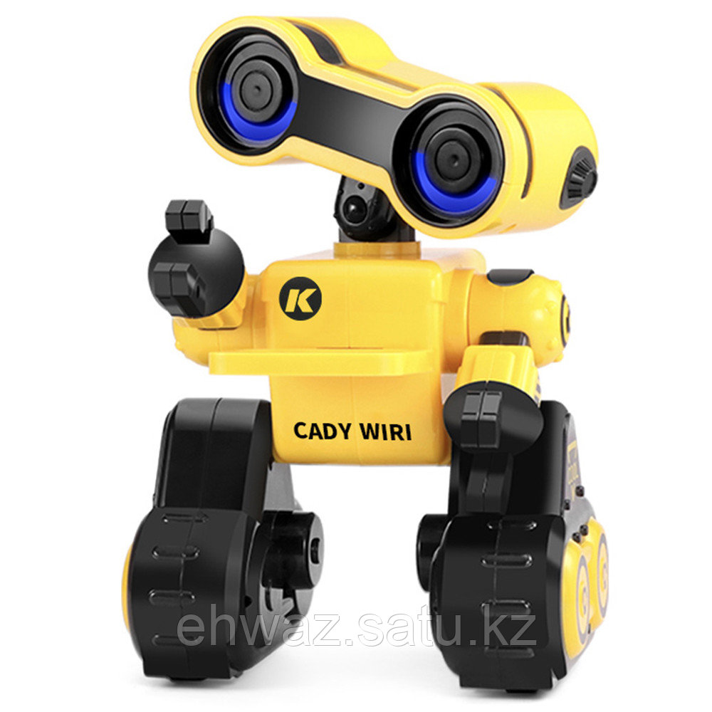 Интерактивный робот JJRC R13 CADY WIRI