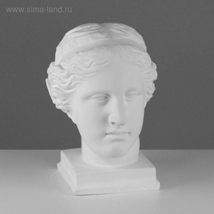 Гипсовая фигура, Голова Венеры Милосской «Мастерская Экорше», 22х32х35 см