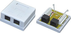 Розетка компьютерная RJ-45, UTP Cat.6, 2 порта, внешняя, Dual IDC