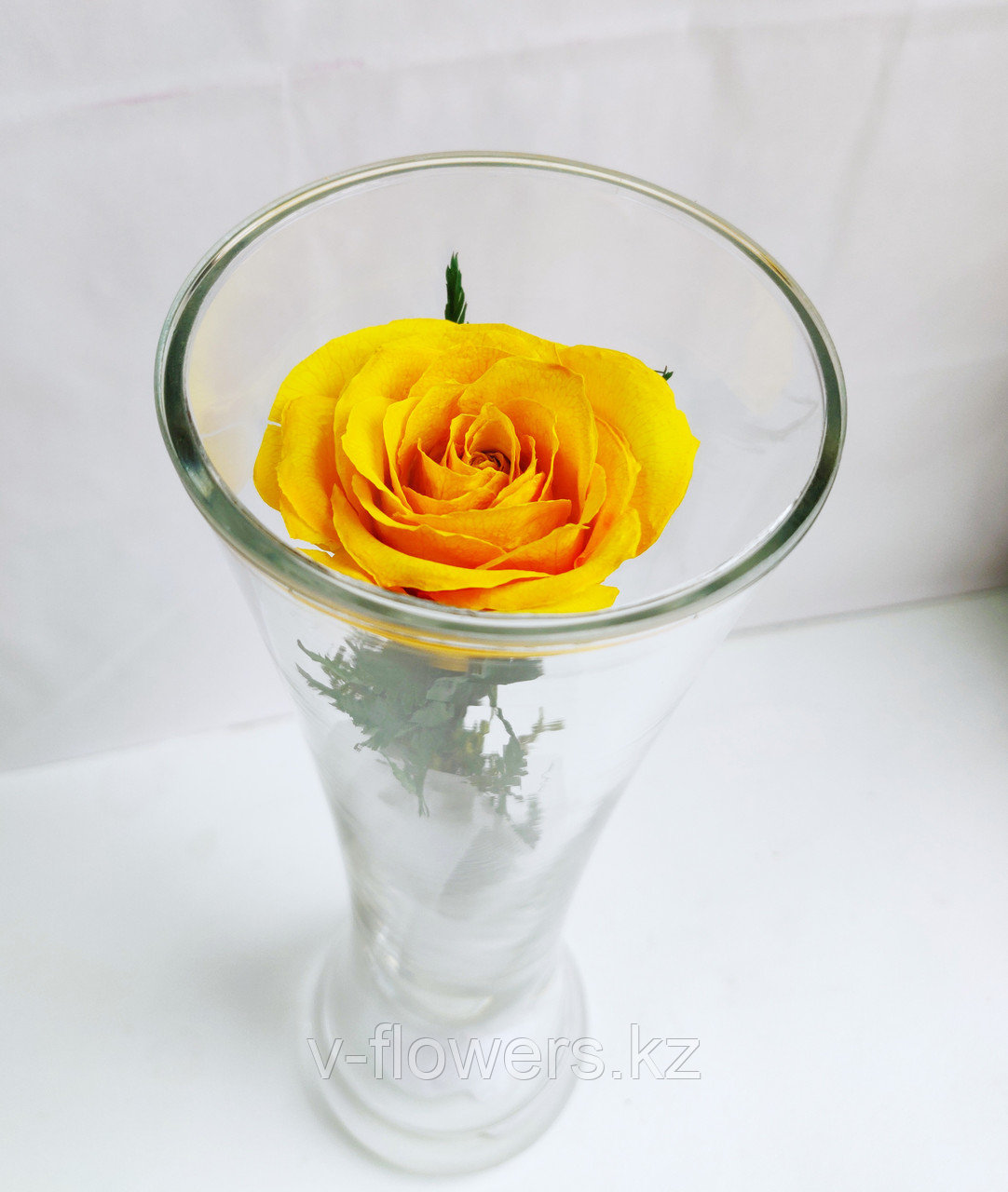 Живые розы 22 см в стекле CuHRy