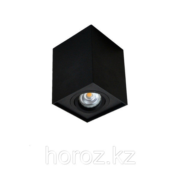 Накладной потолочный светильник GU 10  Накладной, Черный