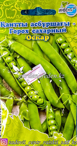 Семена пакетированные Инвент+. Горох сахарный "Оскар", фото 2