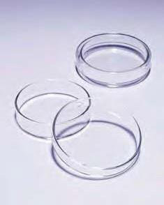 Чашка Петри ЧБН, 60х20 мм (Pyrex)