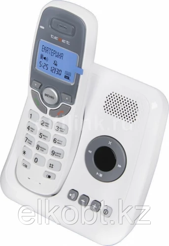 Телефон беспроводной Texet TX-D6955А белый - фото 1 - id-p60714429