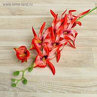 Цветы искусственные "Орхидея Цимбидиум ланцетолистный" 90 см, красная