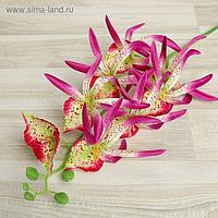 Цветы искусственные "Орхидея Цимбидиум ланцетолистный" 90 см, сиреневая