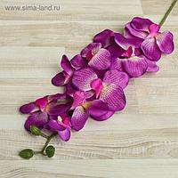 Цветы искусственные "Орхидея Сандера" 90 см, сиреневая