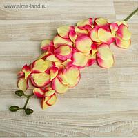 Цветы искусственные "Орхидея Сандера" 90 см, жёлто-розовая