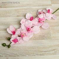 Цветы искусственные "Орхидея Сандера" 90 см, розовая