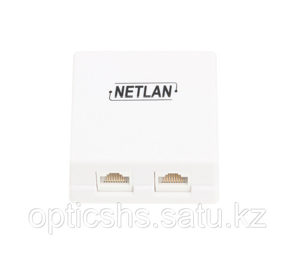 Настенная розетка NETLAN, 2 порта, Кат.5e (Класс D), 100МГц, RJ45/8P8C, 110, T568A/B, неэкранированная, белая,