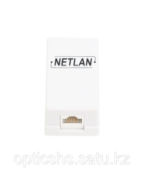 Настенная розетка NETLAN, 1 порт, Кат.5e (Класс D), 100МГц, RJ45/8P8C, 110, T568A/B, неэкранированная, белая,