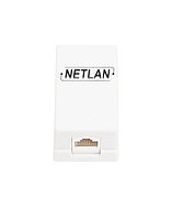 Настенная розетка NETLAN, 1 порт, Кат.5e (Класс D), 100МГц, RJ45/8P8C, 110, T568A/B, неэкранированная, белая,