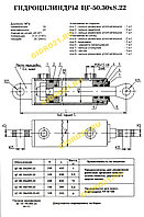 Гидроцилиндр ЦГ-50.30х320.22-01