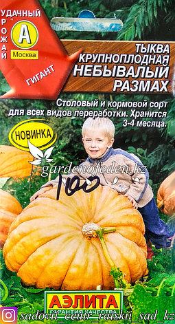 Семена пакетированные Аэлита. Тыква крупноплодная "Небывалый размах", фото 2