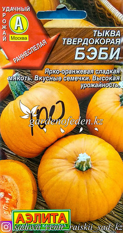 Семена пакетированные Аэлита. Тыква твердокорая "Бэби", фото 2