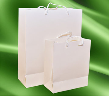 Пакет белый, картонный 16*19*8 см