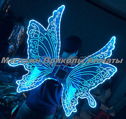 Красочные крылья бабочки