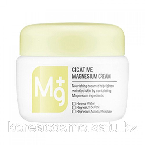 A'PIEU Cicative Magnesium Cream