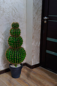 Искусственный кактус (ботаническая копия)