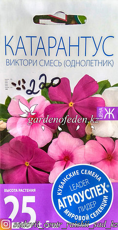 Семена пакетированные Агроуспех. Катарантус "Виктори смесь", фото 2