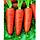 Семена морковь Шантенэ Роял (банка-500 гр- 425000 шт), фото 2
